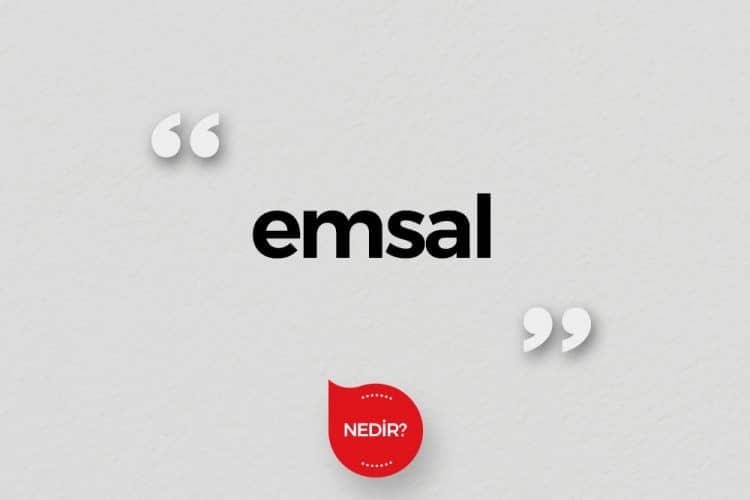 Emsal Nedir?